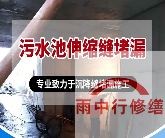 黄山2026年高分子防水卷材成高端市场主流，光伏屋面需求爆发