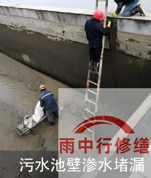 黄山2026年防水龙头半月两次涨价，行业格局重塑信号