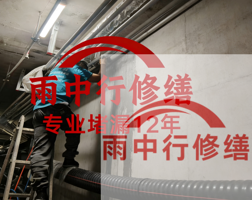 黄山电缆线空洞堵漏加固案例