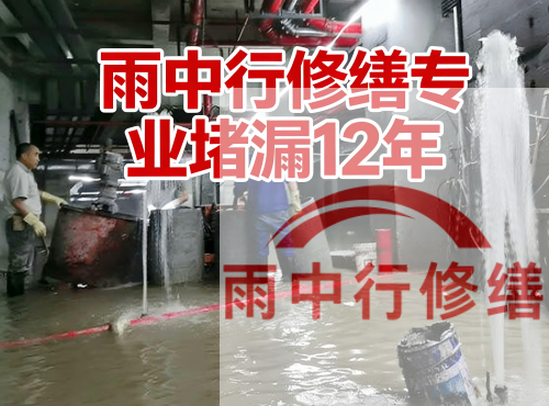 黄山中国五矿某大型污水处理厂堵漏案例